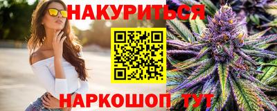 амф Кингисепп