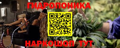 мет Кимры
