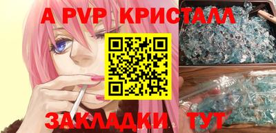 амф Кингисепп