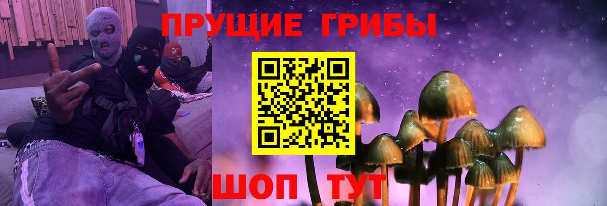Кувандык  Псилоцибиновые грибы Psilocybe  Галлюциногенные грибы мухоморы  Вход с VPN 